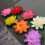 Flor de lótus artificial para aquário e lago 2