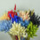 Fleurs séchées de queue de lapin (50 pièces) 4