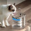 16PCS Water Fountain Replacement Filter Elements Activated Carbon Filter for Dog Cats Pet Drinking Bowl Feeder Filter 8