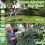 Cordless 21V Foldable Grass Trimmer Strimmer Garden Edger with Dual Battery Pack 7