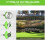 Cordless 21V Foldable Grass Trimmer Strimmer Garden Edger with Dual Battery Pack 9