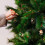 Billard-Adventskalender: 24 Überraschungen rund ums Billard 4