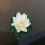 Artificial Floating Lotus Flower with Lily Pad, 10cm 5