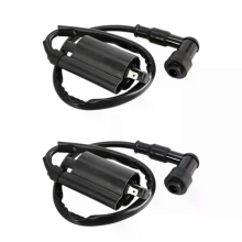 2x zapalovací cívka pro motocykly, kompatibilní s modely Yamaha GS125 GN125 VX250 Virago 1100 XV1100 XV-1100 1995-2007