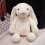 2025 12CM Lemonade Pluche Speelgoed Cadeau 3