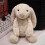 2025 12CM Lemonade Pluche Speelgoed Cadeau 5