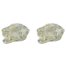 2X Transparent Canine Teeth Anatomical Model Dental Animals Oral Tooth Jaw for Veterinary Educational Tool (Dog)