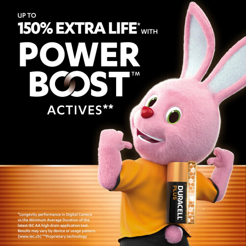 Duracell Duracell Plus AA Alkaline Batteries LR6 1.5V 24-Pack 1