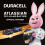 Duracell Duracell Plus AA Alkaline Batteries LR6 1.5V 24-Pack 10