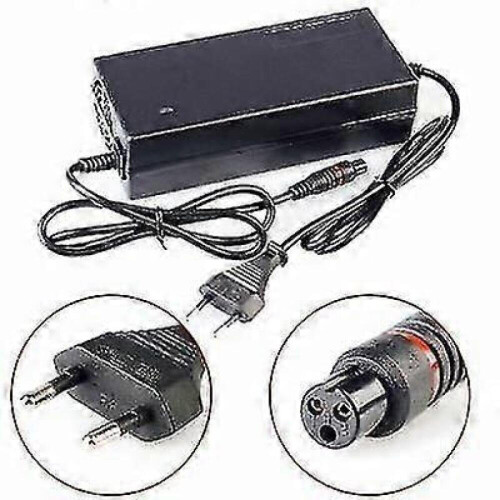 Oplader voor hoverboard/Segway 42V 2A 2