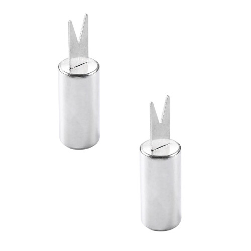 Spiedini di pannocchie in acciaio inox (8 pezzi)
