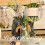 Support de tige spiralé Ikebana pour vases, 1 pièce 1