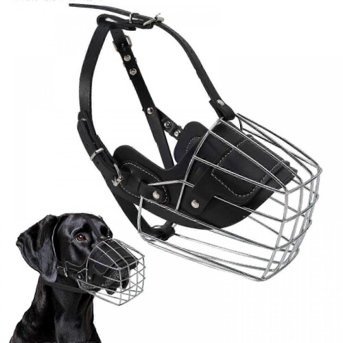 Extra-large, breathable and drinkable metal muzzle suitable for Great Danes to prevent biting. 1