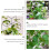 Sort metal planteespalier 45x30cm (3-pak) 3