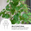 Sort metal planteespalier 45x30cm (3-pak) 4