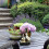 Fonteinbeeld van een eendenfamilie van hars voor in de tuin 5