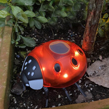 Solar lieveheersbeestje tuinlampjes met warmwitte LED (6 stuks)