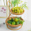 Elegante 2-lagige gewebte Obstschale mit Airflows-Design, 4