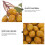 Ornament artificial Wampee, decor cu fructe din plastic, 1 buc. 4