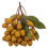 Ornament artificial Wampee, decor cu fructe din plastic, 1 buc. 5