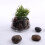 Naturlige grussten 2 lb pakke 2