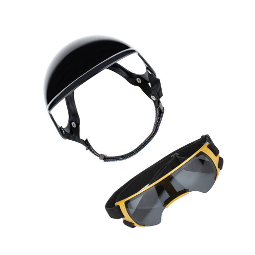 Ensemble de casque et de lunettes de soleil pour animaux de-Or