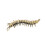 Traditional Antique Centipedes Figurine Ornament Solid Brass 1