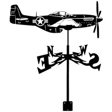 Vintage Eisen Wetterfahne Windrichtungsanzeiger Flugzeugform