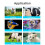 OLED Display Pet Scanner Animal Pet ID Reader Chip Transponder USB RFID Handheld Microchip Scanner for Animals 7