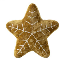 Kerst polyester kussensloop borduurwerk ontwerpen comfortabel-B4