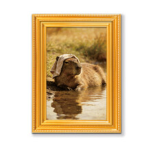 Artistic Fridge Magnets Capybara Cats Small Art Print-MZCT613
