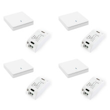 4X Draadloze Slimme Lichtschakelaar RF 433MHz Verlichtingsregeling Intelligente Schakelaar AC 90-250V 10A-Module (1 W en 1 C)