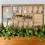 School Years Collage Frame Double Mat Gray 17.7x7.87 in 4