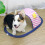 Lit de tapis de refroidissement multifonctionnel pour animaux-L 6