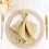 BalsaCircle Polyesterové ubrousky 17x17in Champagne 10Pack 1