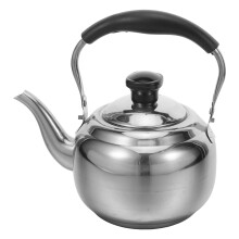 Stovetop Mit Feinem Filter Und Griff Silber