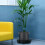 4lots Multipurpose Plant Saucers Automatic Watering Flower Pot 6