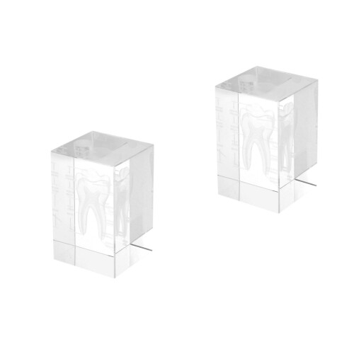 2Pcs Transparent Crystal 3D Tooth Anatomy Model Medical Teaching Tool