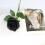 Rose artificiali nere in seta, 12 pezzi, gambo lungo 3