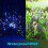 120 LED Solar Garden Lights with Flexible Copper Wire 5