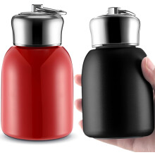2er-Pack 300 ml schlanke, vakuumisolierte Edelstahl-Wasserflaschen