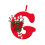 Décorations de Noël à suspendre au sapin (lot de 5) 5