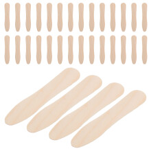 1200Pcs Small Wood Dessert Portable Ice Cream Scoop