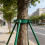 1Set Iron Tree Stabilizer Hoop Heavy Duty Wind Resistant Plant Support 8