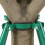 1Set Iron Tree Stabilizer Hoop Heavy Duty Wind Resistant Plant Support 9