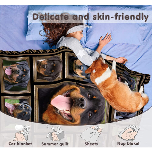 Rottweiler tæppe 50x60 tommer – blød polyester 2