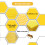 Beeswax Honeycomb Sheets for Beekeeping – 10 pcs 3