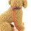 Strong Dog Leash For Large Dog Heavy Duty Pull Resistance-Red L 3