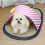 Cooling Pet Mat Breathable Rattan Design Comfortable Sleep-S 7