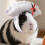 Pet   Dumpling Shape  Hat Washable Costume Themes Cosplay-S 6